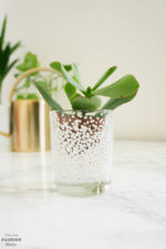 DIY Blumentöpfe | Indoor Gardening | Vienna Fashion Waltz