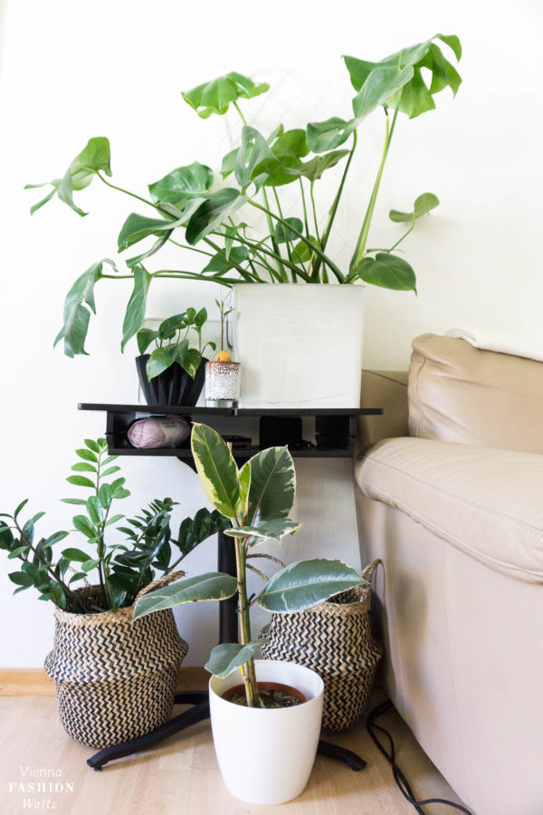 DIY Upcycling Pflanzgefäße | ViennaFashionWaltz