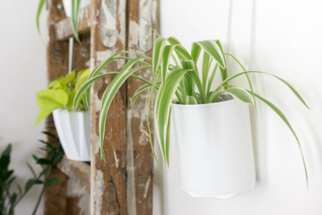 DIY Blumentopf zum Aufhängen Upcycling Wall Planters