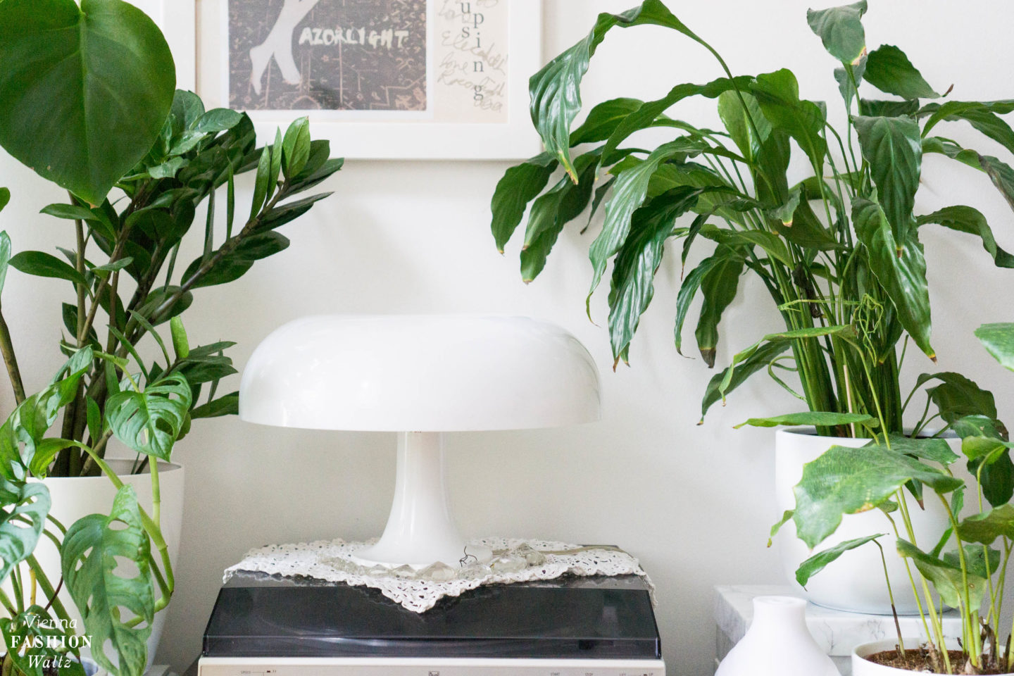 Mein Indoor Garden in der neuen Wohnung | Vienna Fashion Waltz