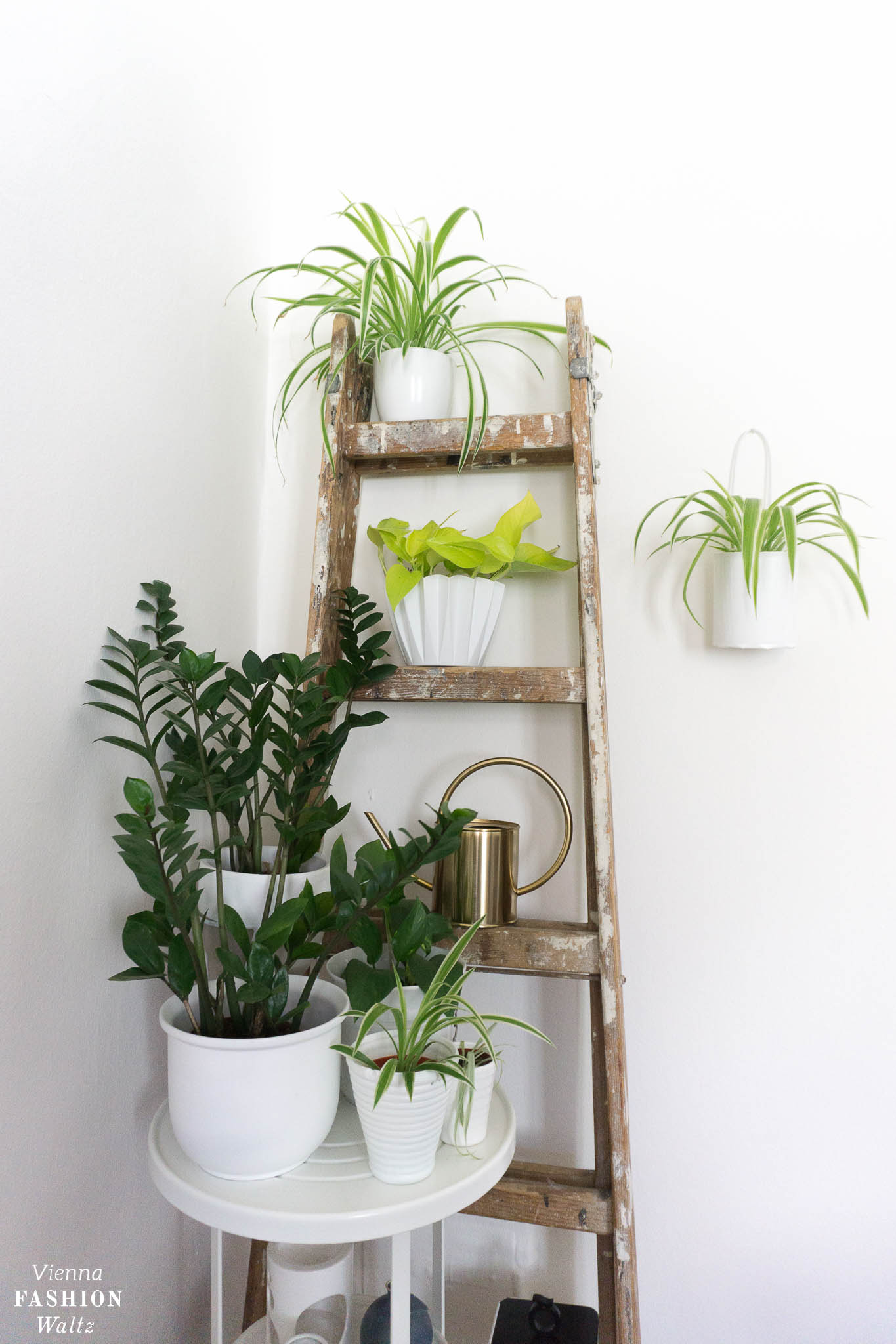 Urban Jungle Ideen | Indoor Garden Plant Ideas | Grünlilien, Pflanzenwand, hanging plants | Blog Vienna Fashion Waltz